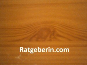 Basteln und Bauen mit dem Werkstoff Holz